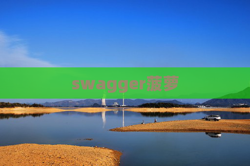 swagger菠萝 swagger菠萝